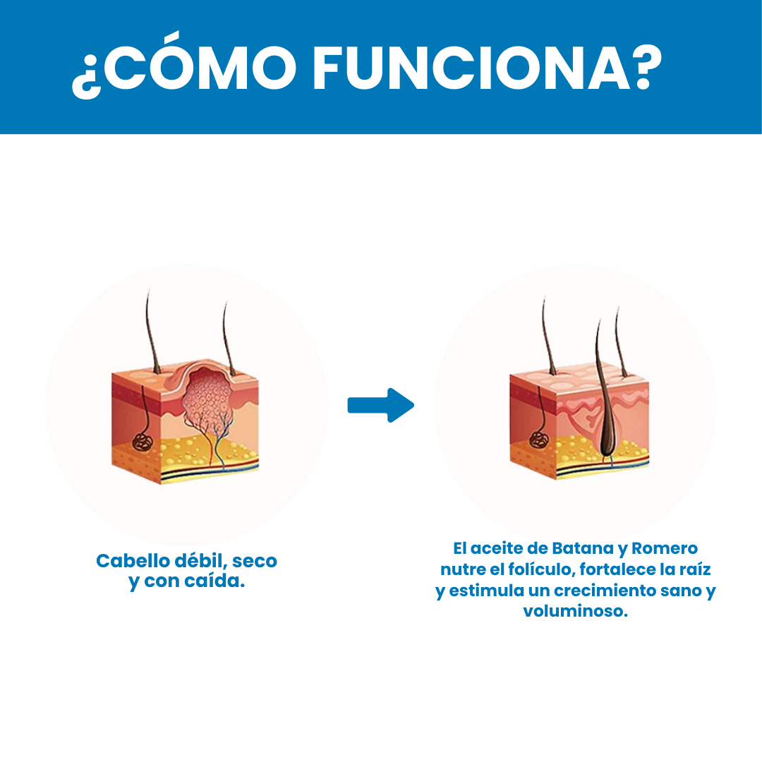 Sanorys Botana - Champú de Crecimiento Capilar con Aceite de Botana